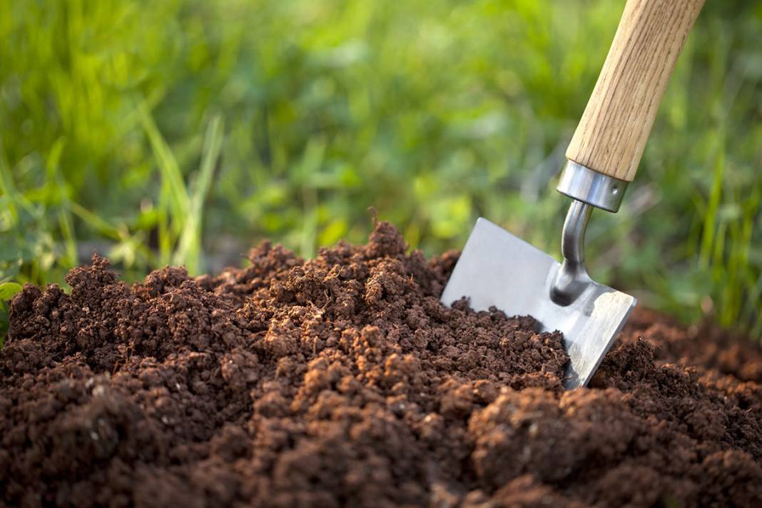 Bir çay kaşığı toprakta ne kadar mikrop var? 7